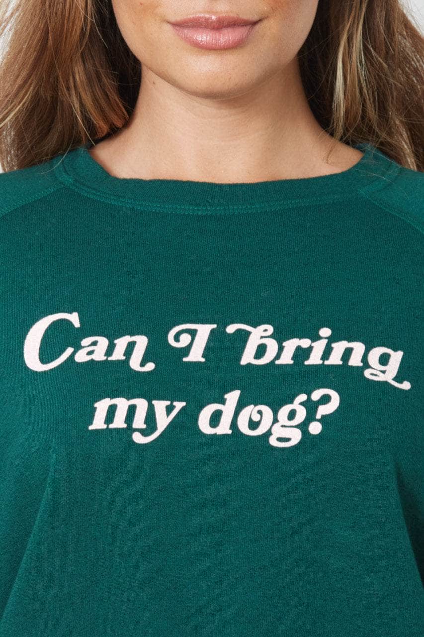CAN I BRING MY DOG? - The Smith