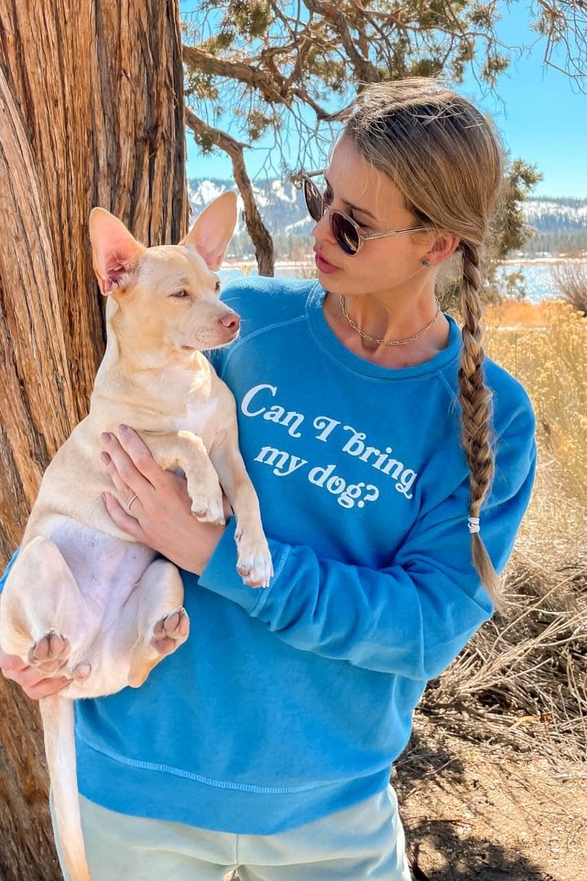 The Smith - Can I Bring My Dog? - Azure