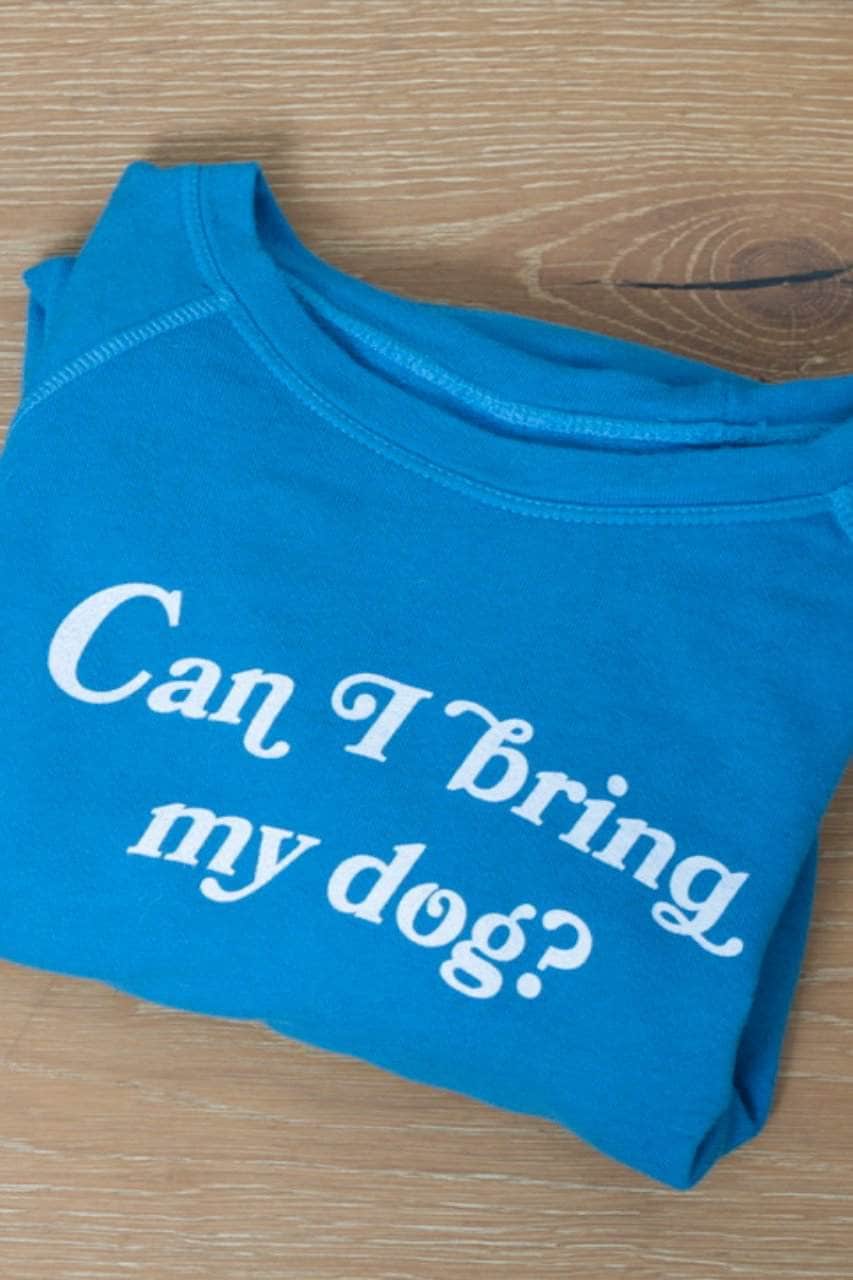 The Smith - Can I Bring My Dog? - Azure