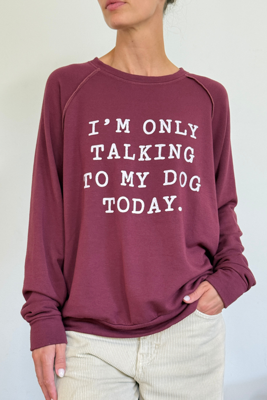 The VITA - Only Talking To My Dog Today!