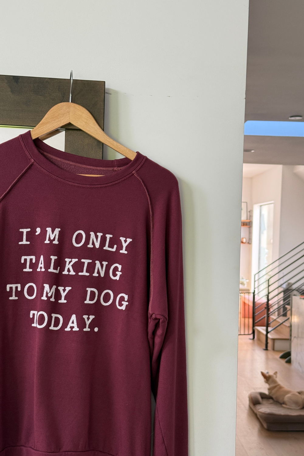 The VITA - Only Talking To My Dog Today!